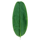 Fire Retardant Artificial Banana Leaves Outdoor For Events Evergreen Colored Leaves