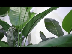 Video de la sección giratoria