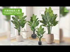 Palma de viajero artificial con bordes de hojas realistas 160cm 180cm | Falso ave del paraíso realista