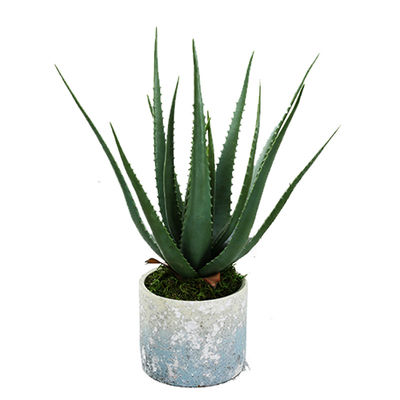 Customizable Landscape 23CM Artificial Potted Floor Plants Green Aloe Garden Decoration