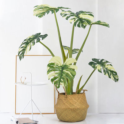 80cm Artificial Monstera Potted Plant No Nursing Low Maintenance