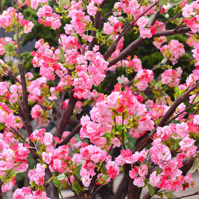 250cm Plastic Artificial Cherry Blossom Tree Decoration Plant For Reception Center