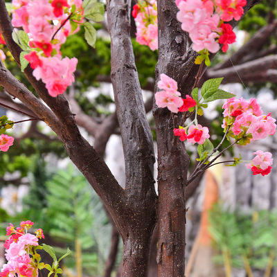 250cm Plastic Artificial Cherry Blossom Tree Decoration Plant For Reception Center