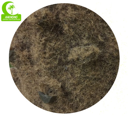 Single Head Aesthetic 120cm Artificial Sago Palm Trees For Outdoor