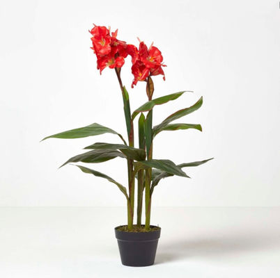 OEM Plastic Green Leaves 160cm Artificial Canna Lily