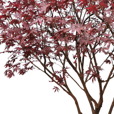 All Season Simulated Anti UV Artificial Maple Tree Indoor Ornament