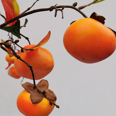 Garden Bonsai Artificial Persimmon Tree Retro Style Landing Fruit Plant