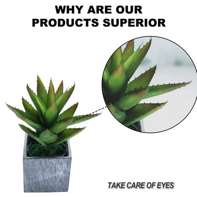 Indoor Decor Artificial Succulent Plant No Nursing Evergreen Four Seasons 50cm Bespoke Bonsai For Hotel Table