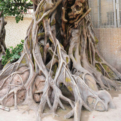 3m Artificial Landscape Trees Large Ficus Simulating Century Old Trees With Old Vines Special Shape