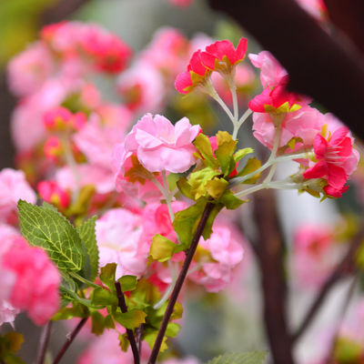 250cm Plastic Artificial Cherry Blossom Tree Decoration Plant For Reception Center