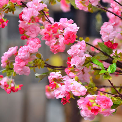 250cm Plastic Artificial Cherry Blossom Tree Decoration Plant For Reception Center