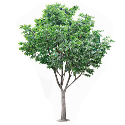 Árbol de Banyan Artificial para Decoración, Personalizado Resistente a los Rayos UV y Retardante de Llama 5M de Altura