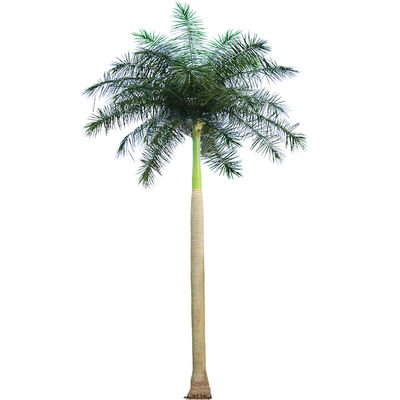Haihong Artificial Palm Trees UV Resistant Large Fake Tropical Date Palm Tree Coconut Palm for Airport Outdoor Decoration