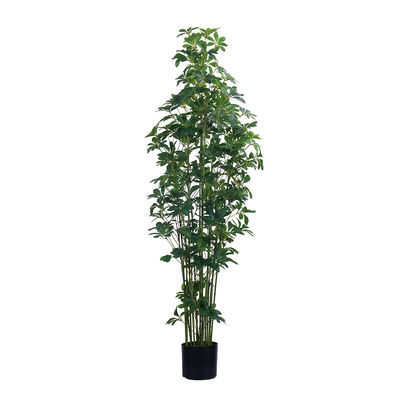 47in 59in 70in Alto Toque real Schefflera artificial árbol verde en macetas Planta Schefflera para la decoración del hogar