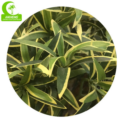 Indoor Decoration 110cm Artificial Podocarpus Tree Customizable