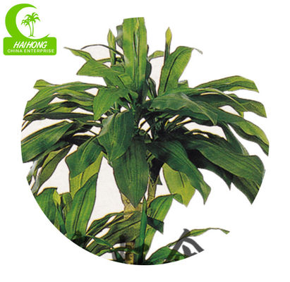 Wholesale Stunning 220cm Artificial Dracaena Tree Space Decor For Indoor Decoration