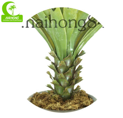 Height 90cm Artificial Succulent Plant